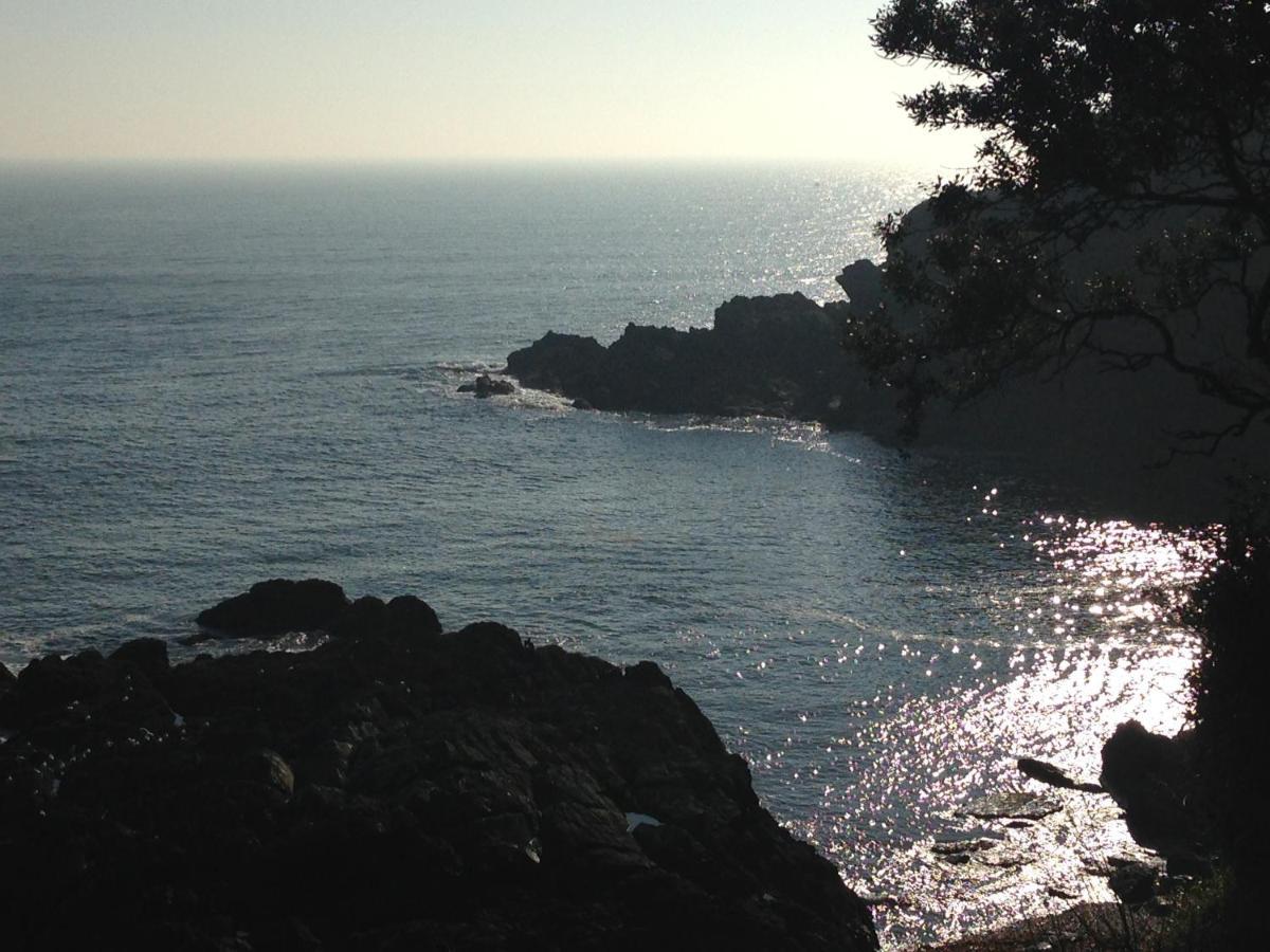 Bay View, Millendreth Looe Cornwall Villa ภายนอก รูปภาพ